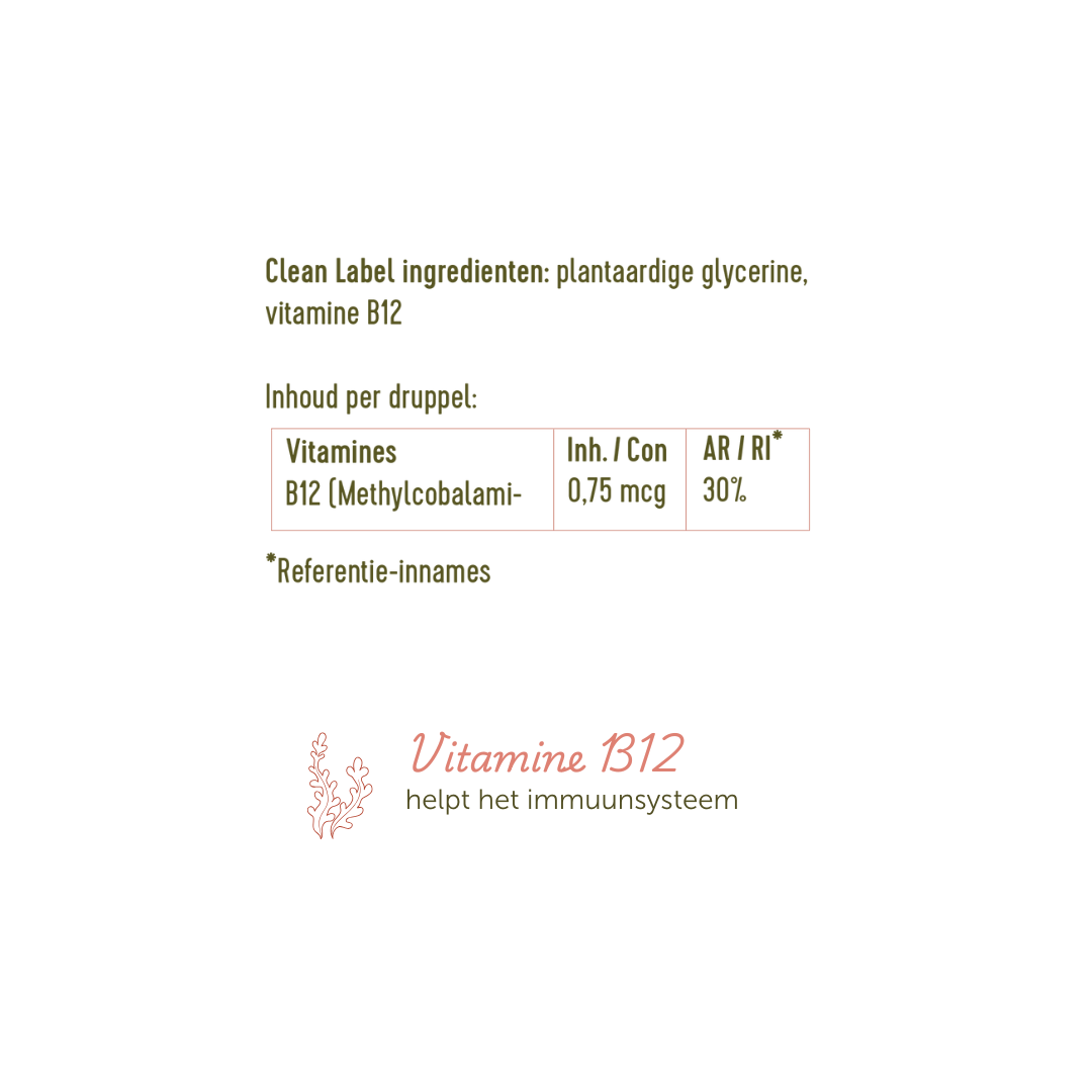 Ingrediëntenlijst van de Vitamine B12 Druppels: plantaardige glycerine en vitamine B12. Verder niets!
