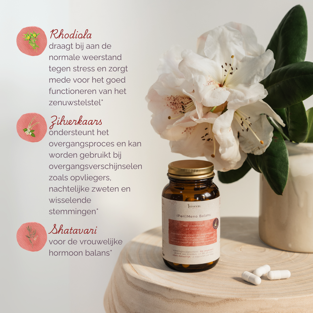 Een afbeelding met voordelen van ingrediënten: rhodiola draagt bij aan weerstand tegen stress, zilverkaars ondersteunt het overgangsproces en shatavari is voor de vrouwelijke hormoonbalans.