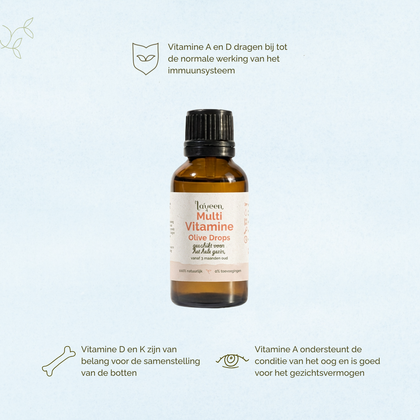 Afbeelding van Laveen Multi Vitamine Olive Drops. Vitamine A en D ondersteunen het immuunsysteem. Vitamine D en K dragen bij aan de botten. Vitamine A ondersteunt het gezichtsvermogen en de conditie van het oog.