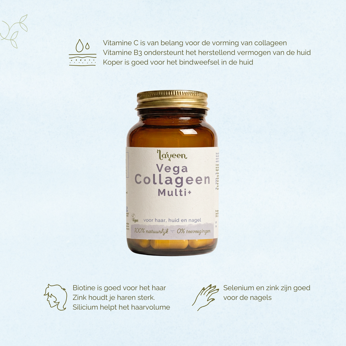 Vitamine C is van belang voor de vorming van collageen. Vitamine B3 ondersteund het herstellend vermogen van de huid. Koper is goed voor het bindweefsel in de huid. Biotine is goed voor het haar, Zink houdt je haren sterk, Silicium helpt het haarvolume. Selenium en zink zijn goed voor de nagels.