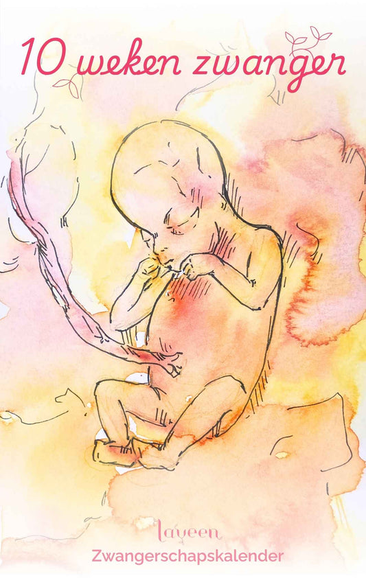 10 weken zwanger: illustratie van de foetus