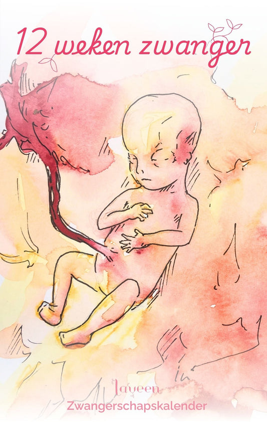 12 weken zwanger, illustratie van de foetus voor de zwangerschapskalender van Laveen