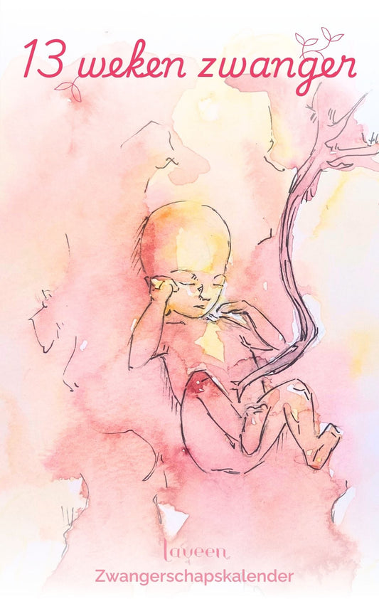 illustratie foetus 13 weken zwanger