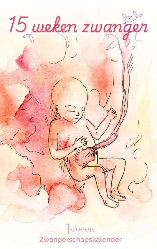 15 weken zwanger: illustratie van de foetus