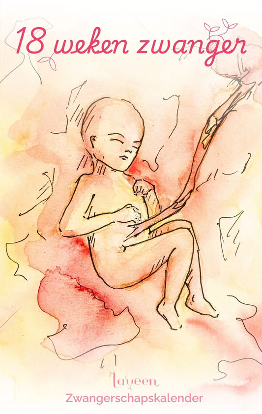 illustratie van foetus met 18 weken zwanger
