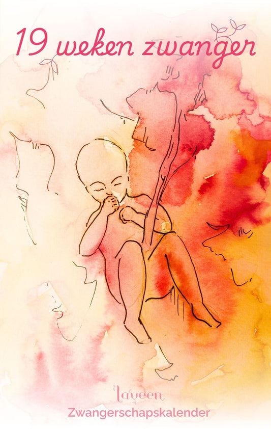 illustratie van de foetus met 19 weken zwanger
