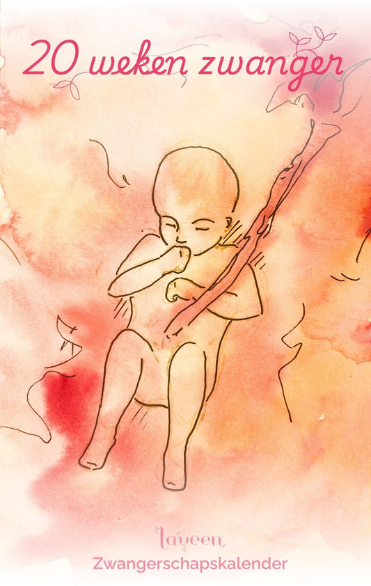 20 weken zwanger: een illustratie van de foetus