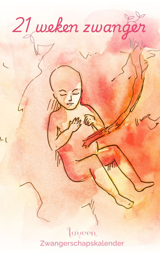 21 weken zwanger: illustratie van de foetus