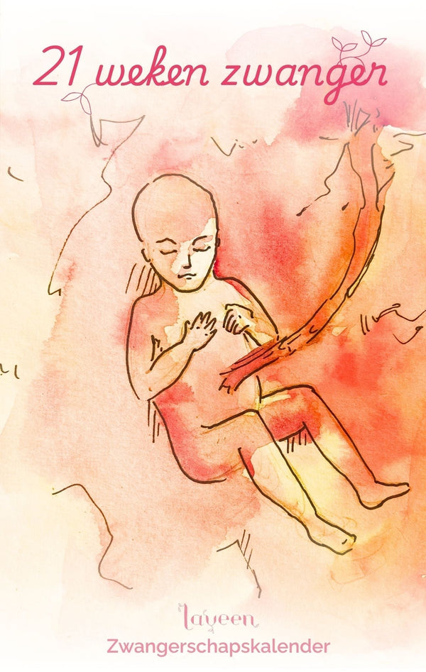 21 weken zwanger: illustratie van de foetus