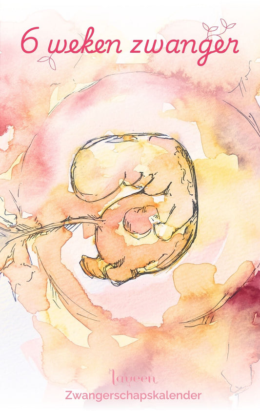 Illustratie van embryo met 6 weken zwanger