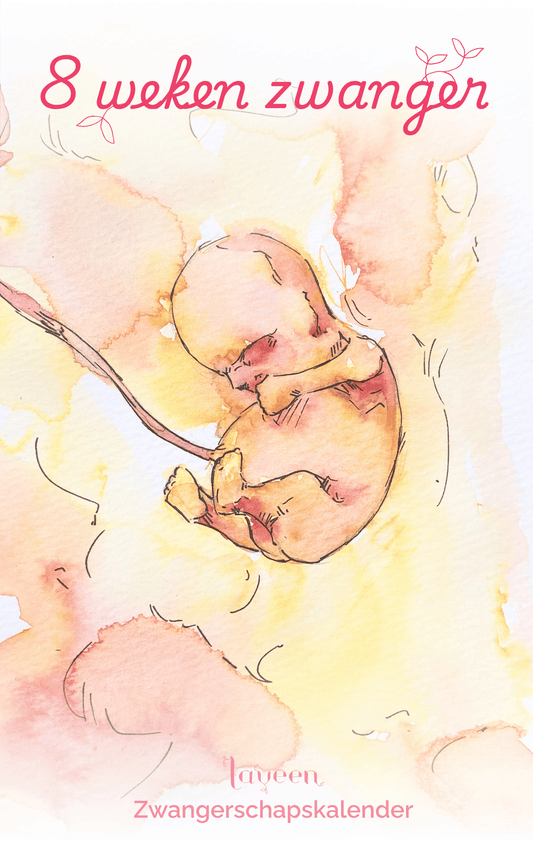 illustratie van het embryo bij 8 weken zwanger