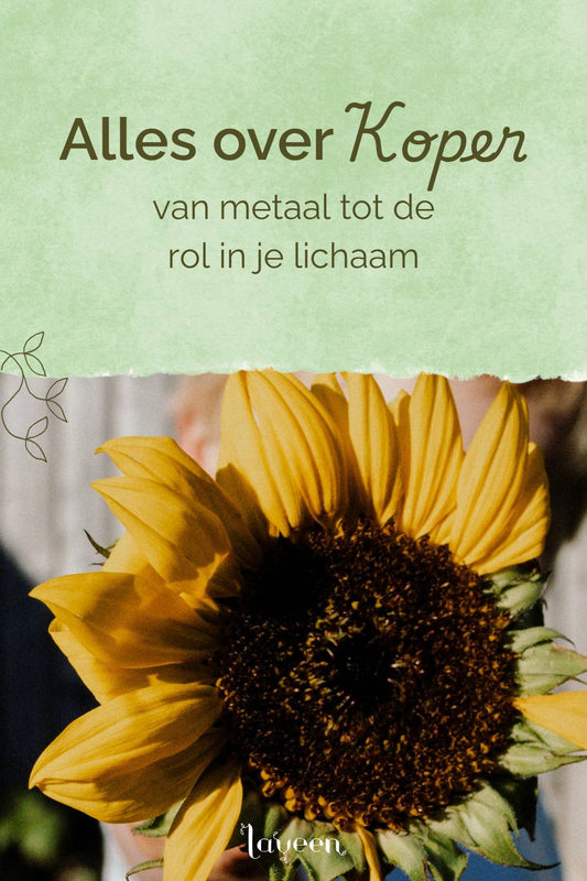 In zonnebloempitten zit veel koper: een jongen met een zonnebloem.