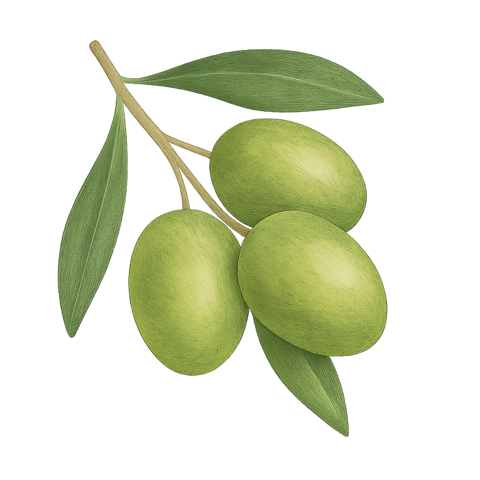 Biologische olijfolie