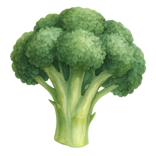 Vitamine B5