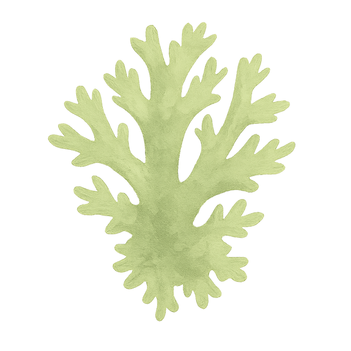 vitamine D3 - korstmos