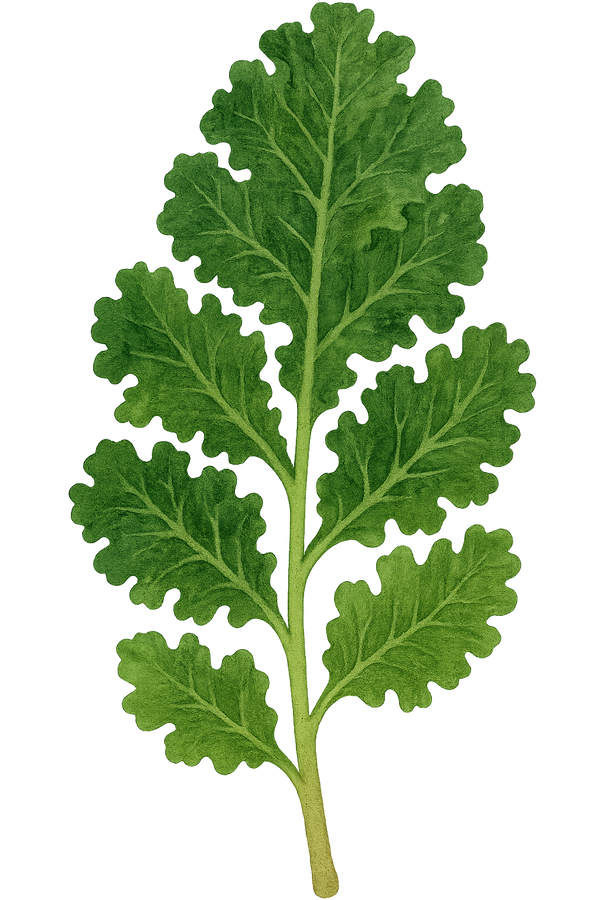 vitamine k