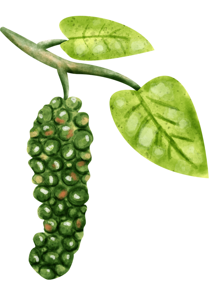 Zwarte peper