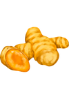 Kurkuma
