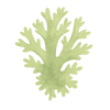 Vitamine D3