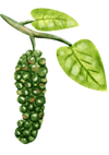 Zwarte peper