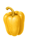 Luteïne