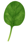 Vitamine B11